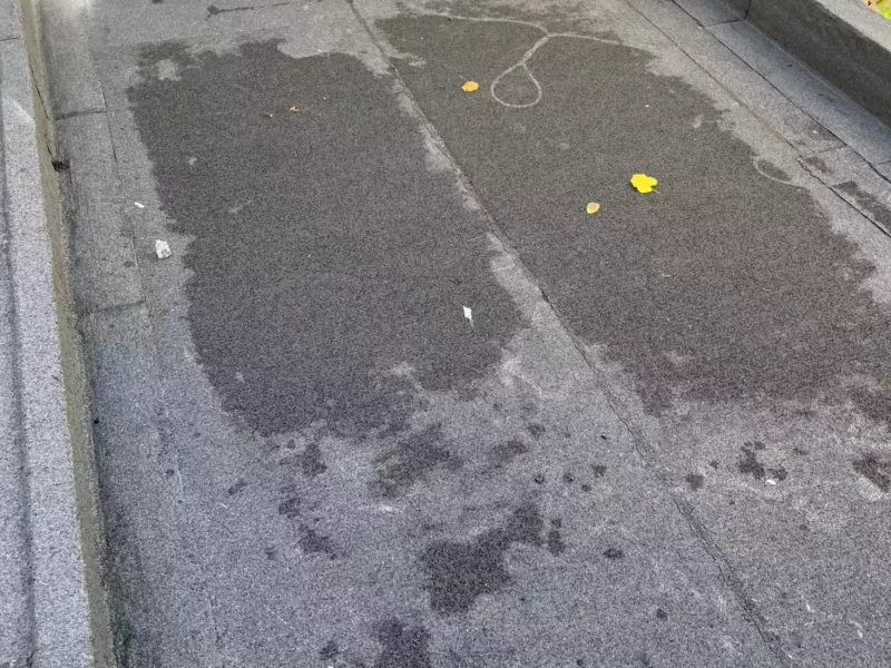 Étanchéité d’une toiture végétalisée — avant / après — photo 5