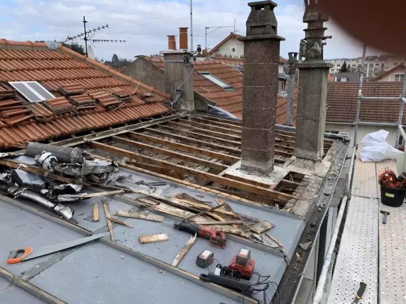 Réfection zinc autour des souches — avant / après — photo 3