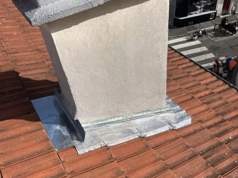 Habillage de souches de cheminée — photo 3