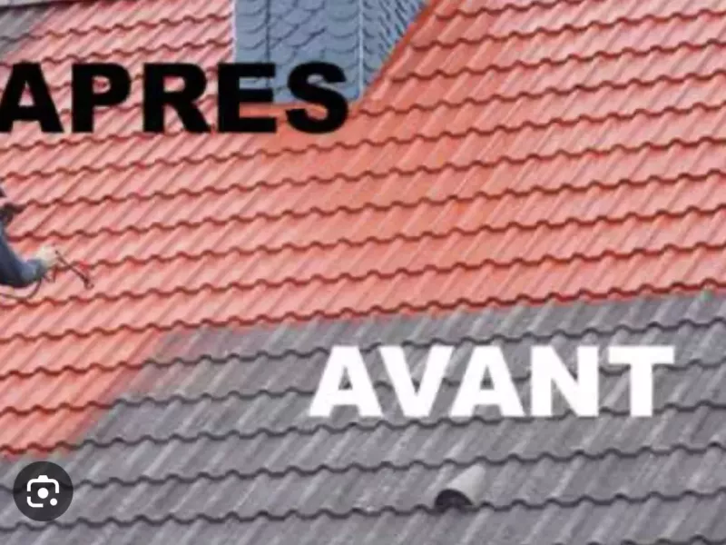 Nettoyage et démoussage de toiture