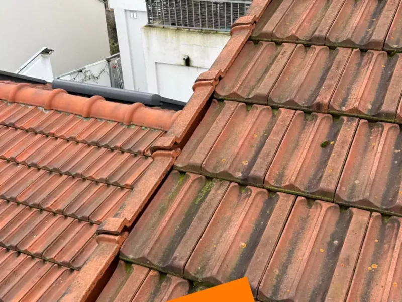 Nettoyage de toiture — avant / après — photo 2