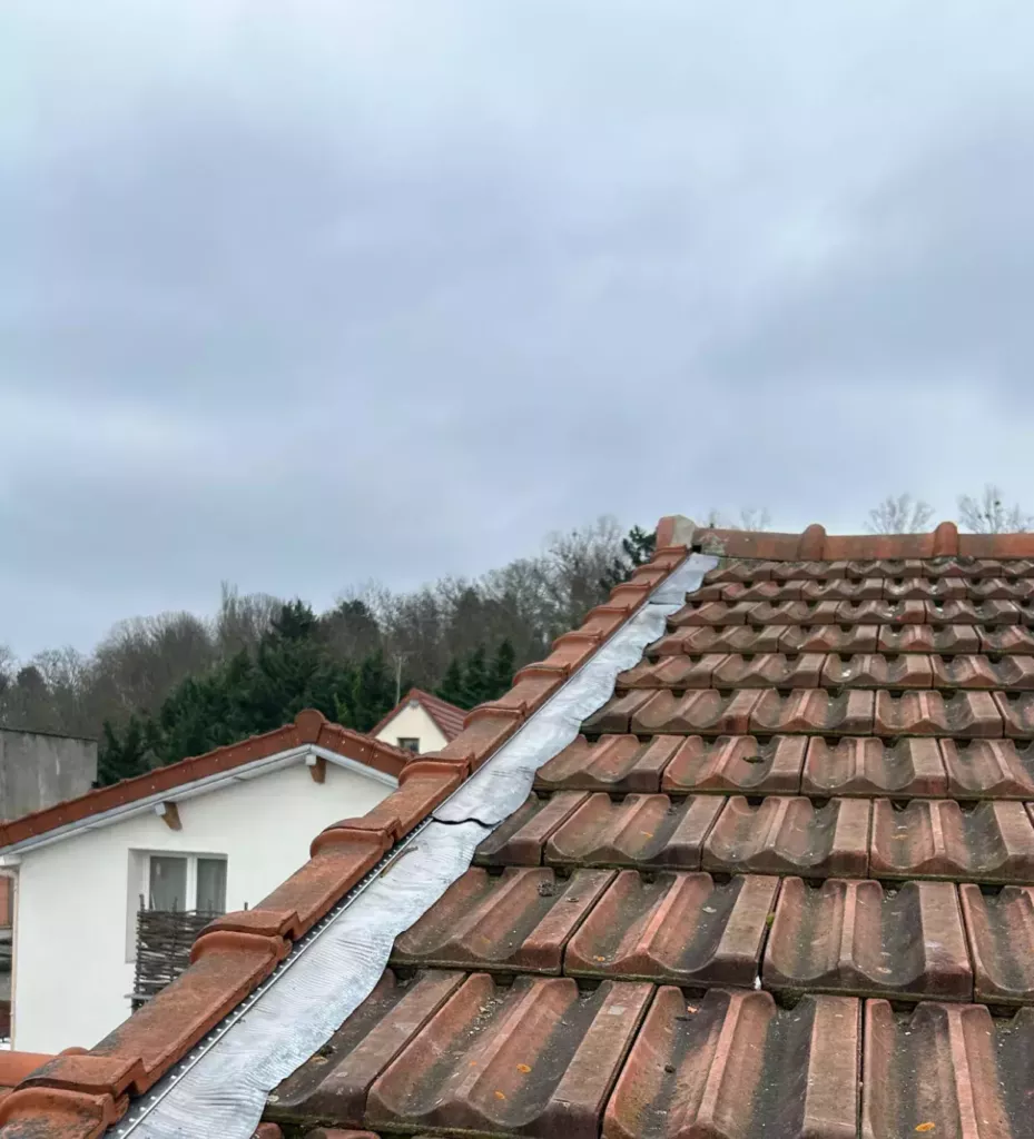 Toitures & démoussage