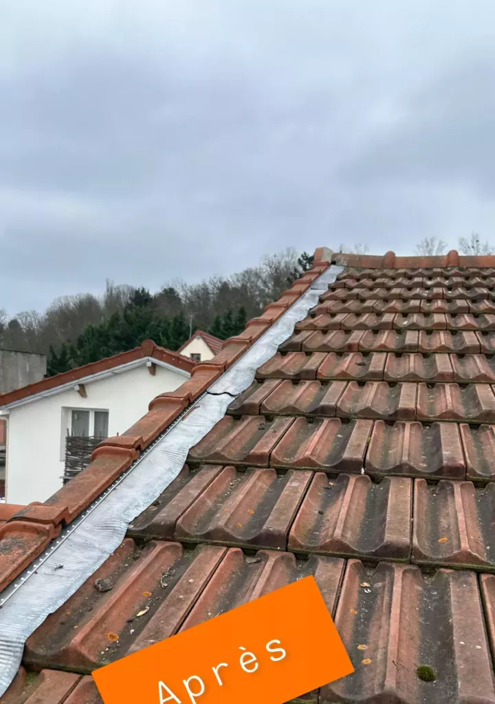 La même toiture après nettoyage