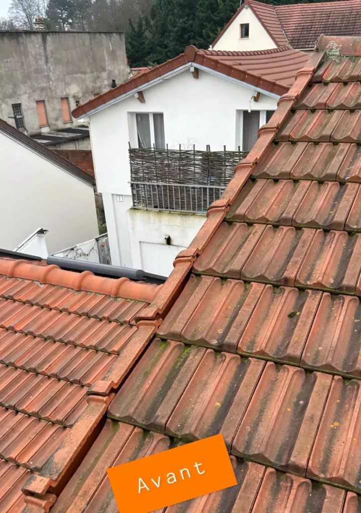 Toiture en tuiles avant nettoyage